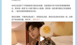 爆料男明星塌房视频大全,揭秘男明星塌房视频大全